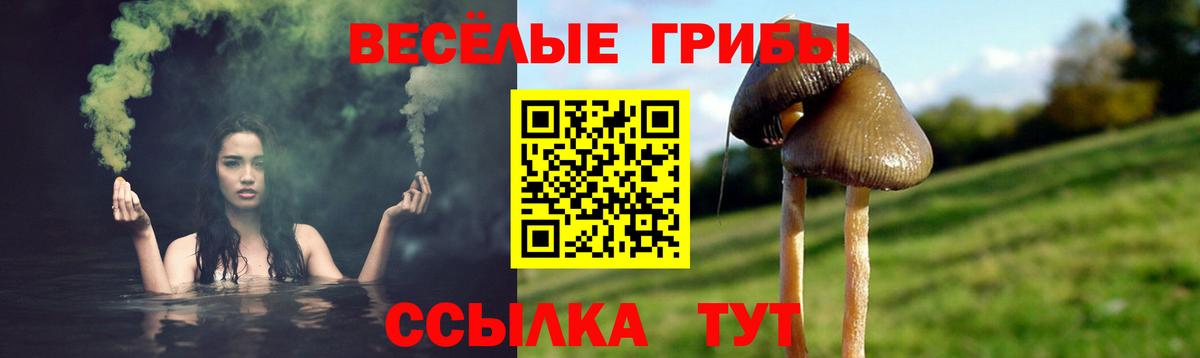Гашиш Великий Устюг